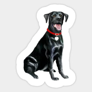 A Happy Black Labrador Retriever - just the dog Sticker